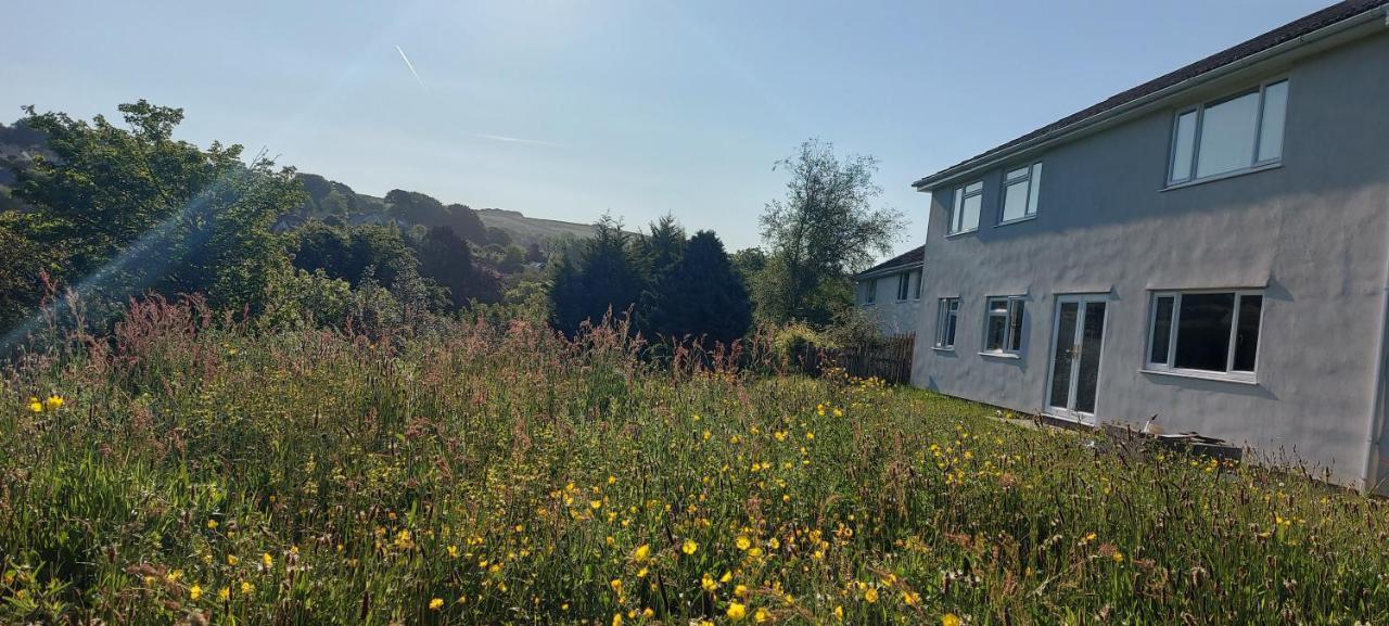 Highfield House, Parracombe, Modern B&B Zewnętrze zdjęcie